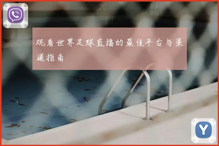 观看世界足球直播的最佳平台与渠道指南