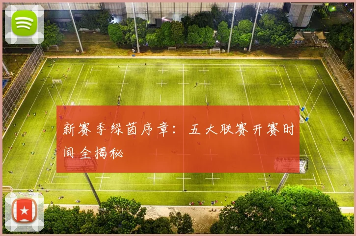 新赛季绿茵序章:五大联赛开赛时间全揭秘
